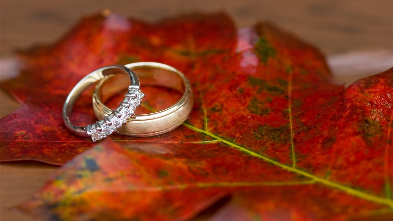 Svatby a svatební prsten tapety (2) #16 - 1366x768