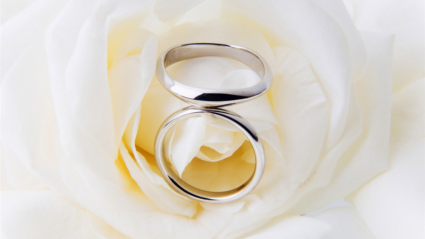 Свадьбы и свадебные кольца обои (2) #18 - 1366x768