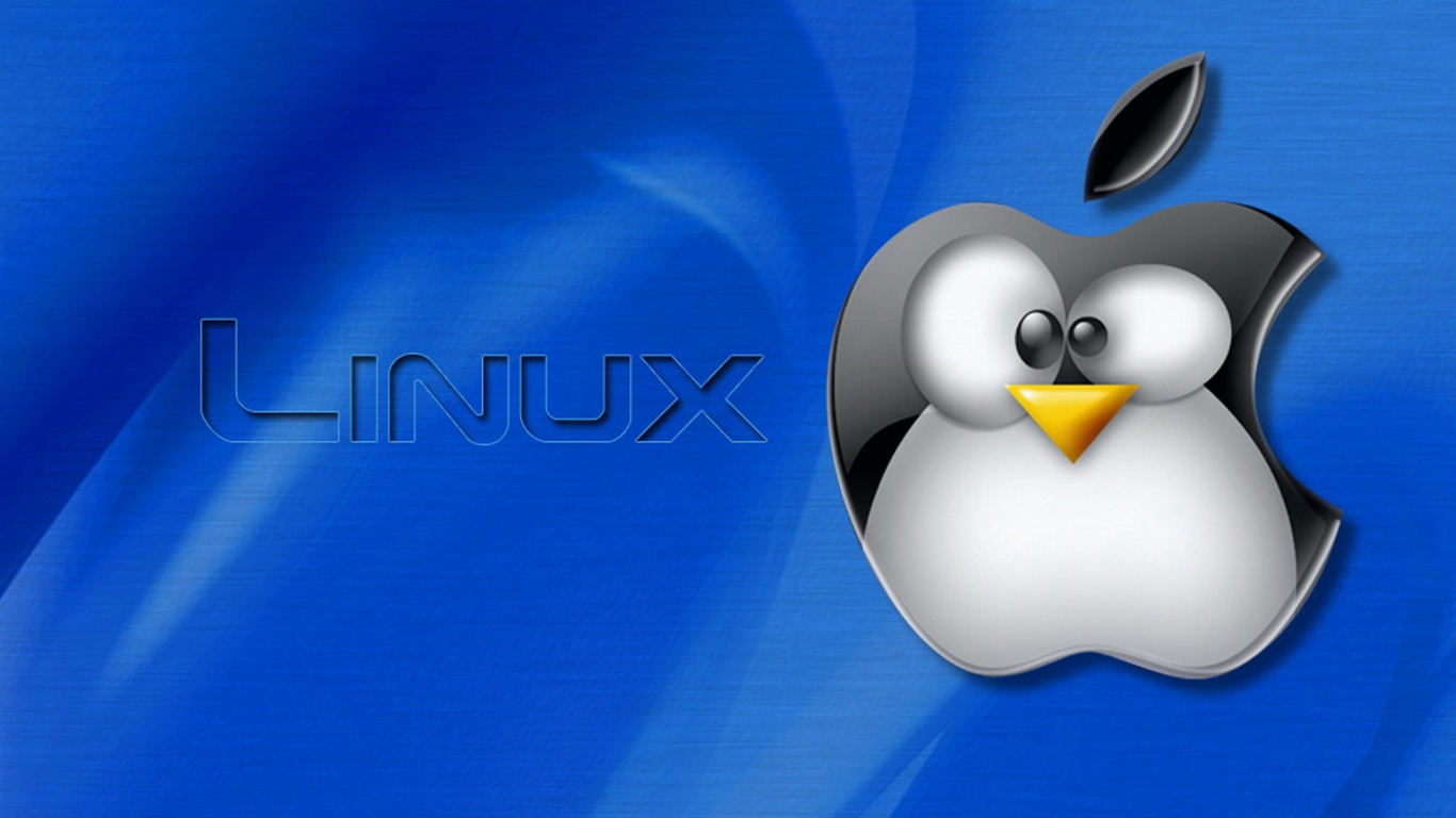 리눅스 벽지 (1) #19 - 1366x768