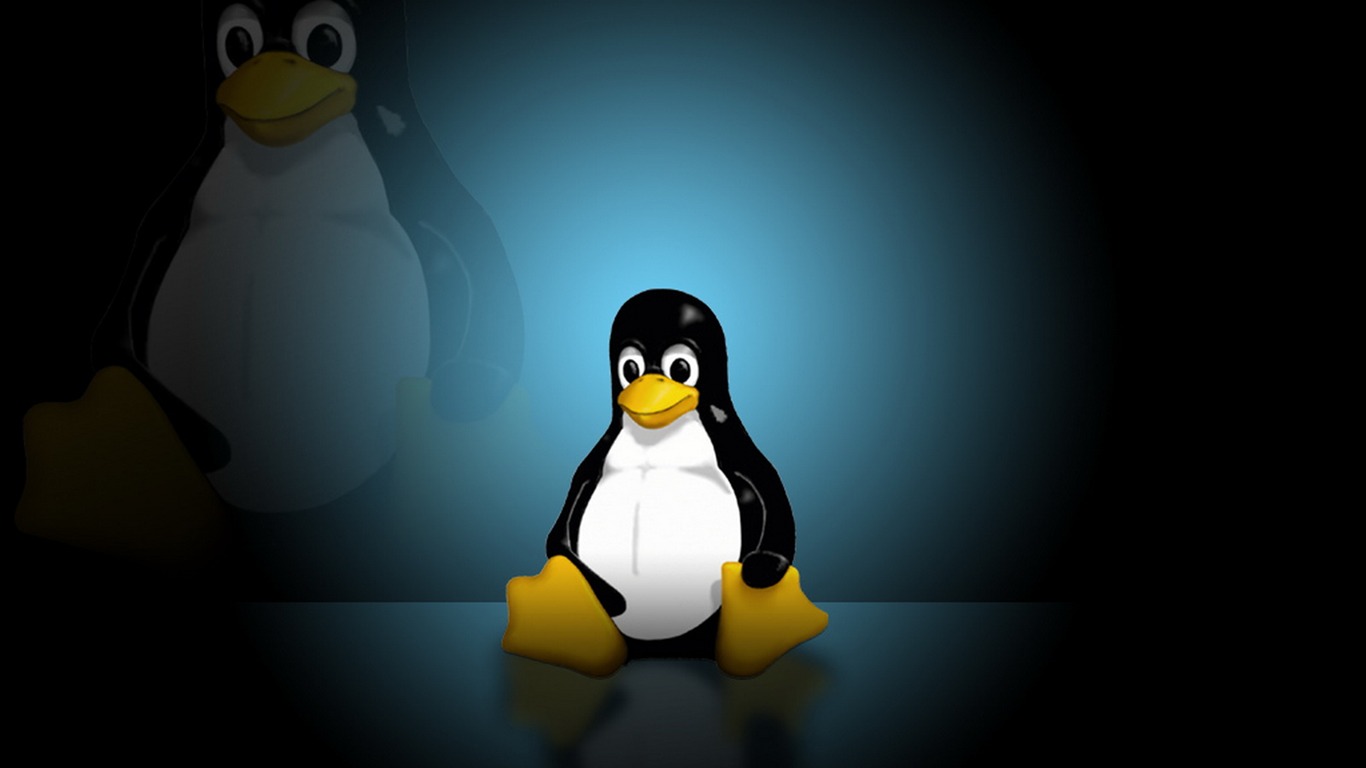 Linux 主題壁紙(二) #6 - 1366x768