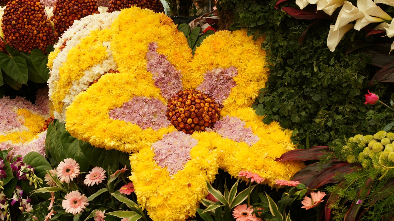fleurs colorées décorent fond d'écran (1) #15 - 1366x768