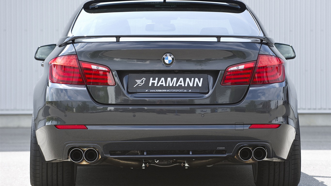 Hamann BMW serie 5 F10 - 2010 fondos de escritorio de alta definición #14 - 1366x768