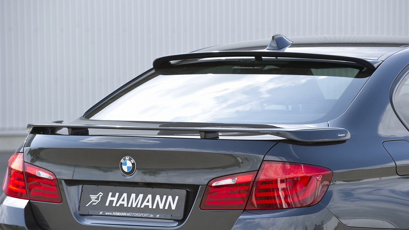 의원님 BMW의 5 시리즈 F10을 - 2010의 HD 벽지 #17 - 1366x768