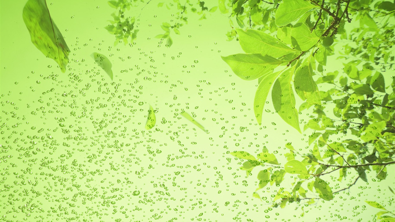 Zelená a přírodní Wallpaper (3) #19 - 1366x768