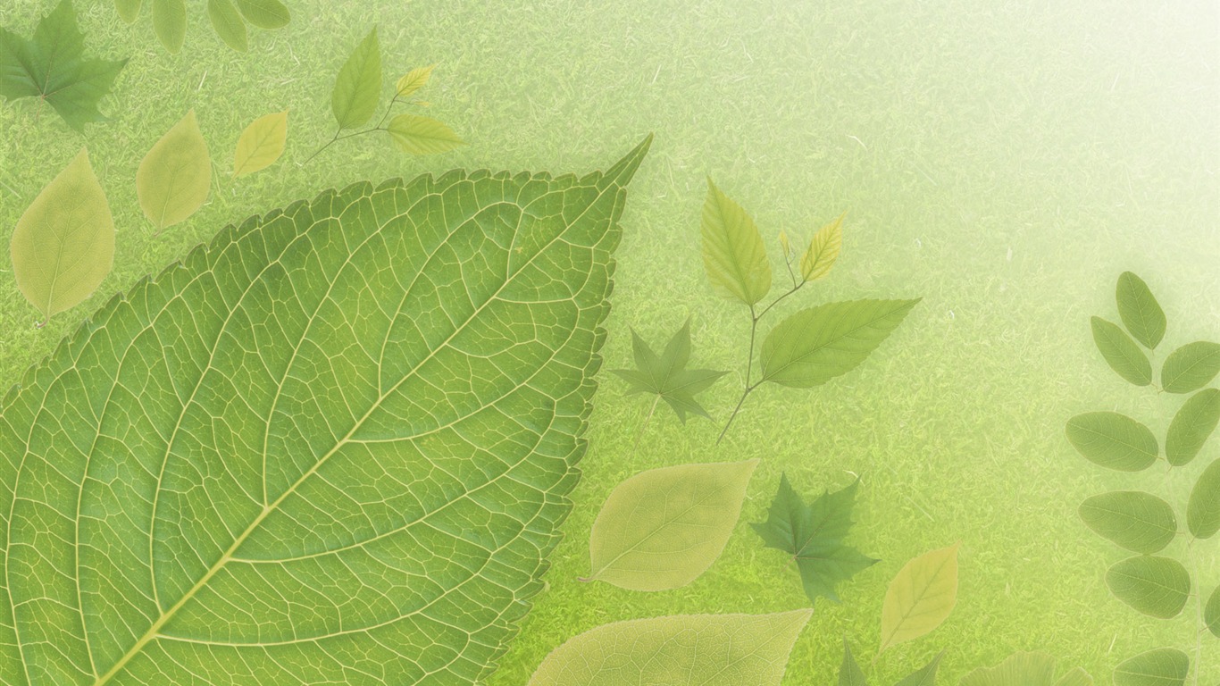 緑と自然の壁紙 (4) #6 - 1366x768