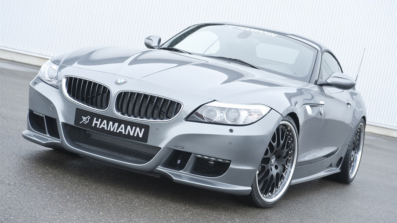 Hamann BMW Z4 E89 - 2010 HD Wallpaper #1 - 1366x768