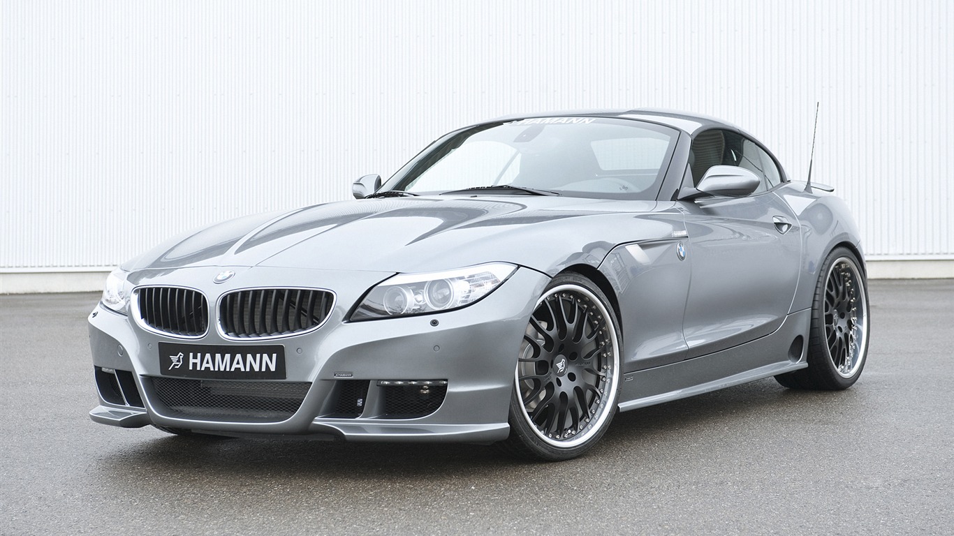 Hamann BMW Z4 E89 - 2010 宝马3 - 1366x768