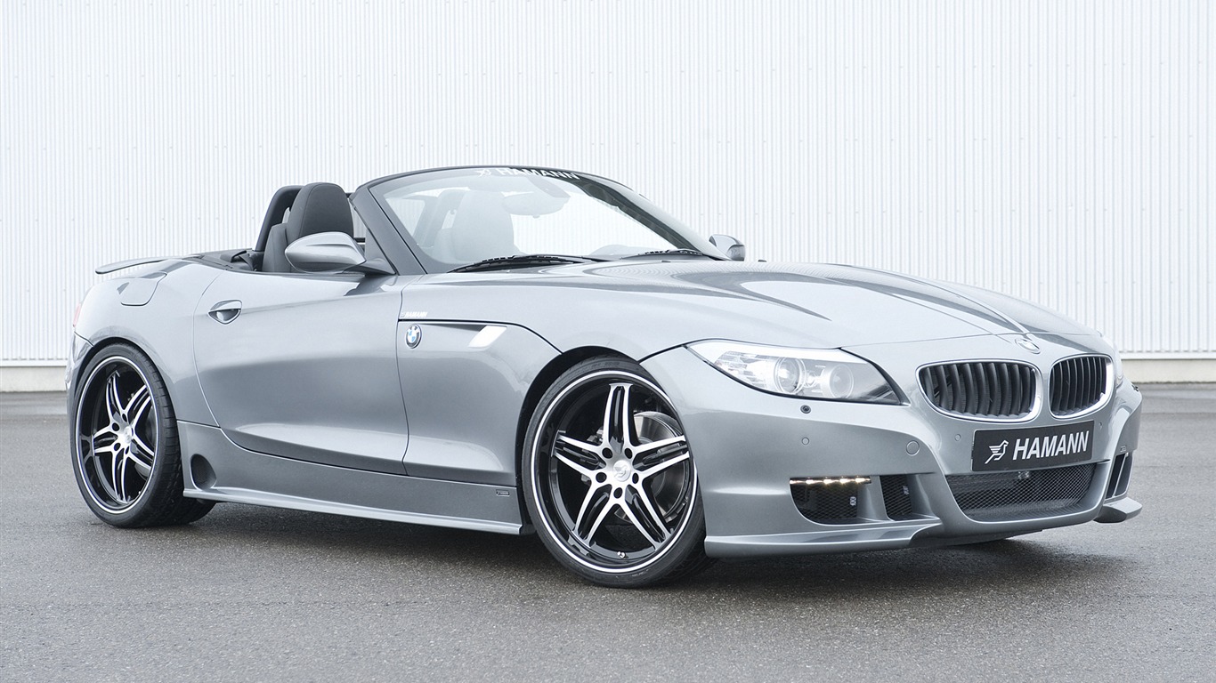 Hamann BMW Z4 E89 - 2010 宝马4 - 1366x768