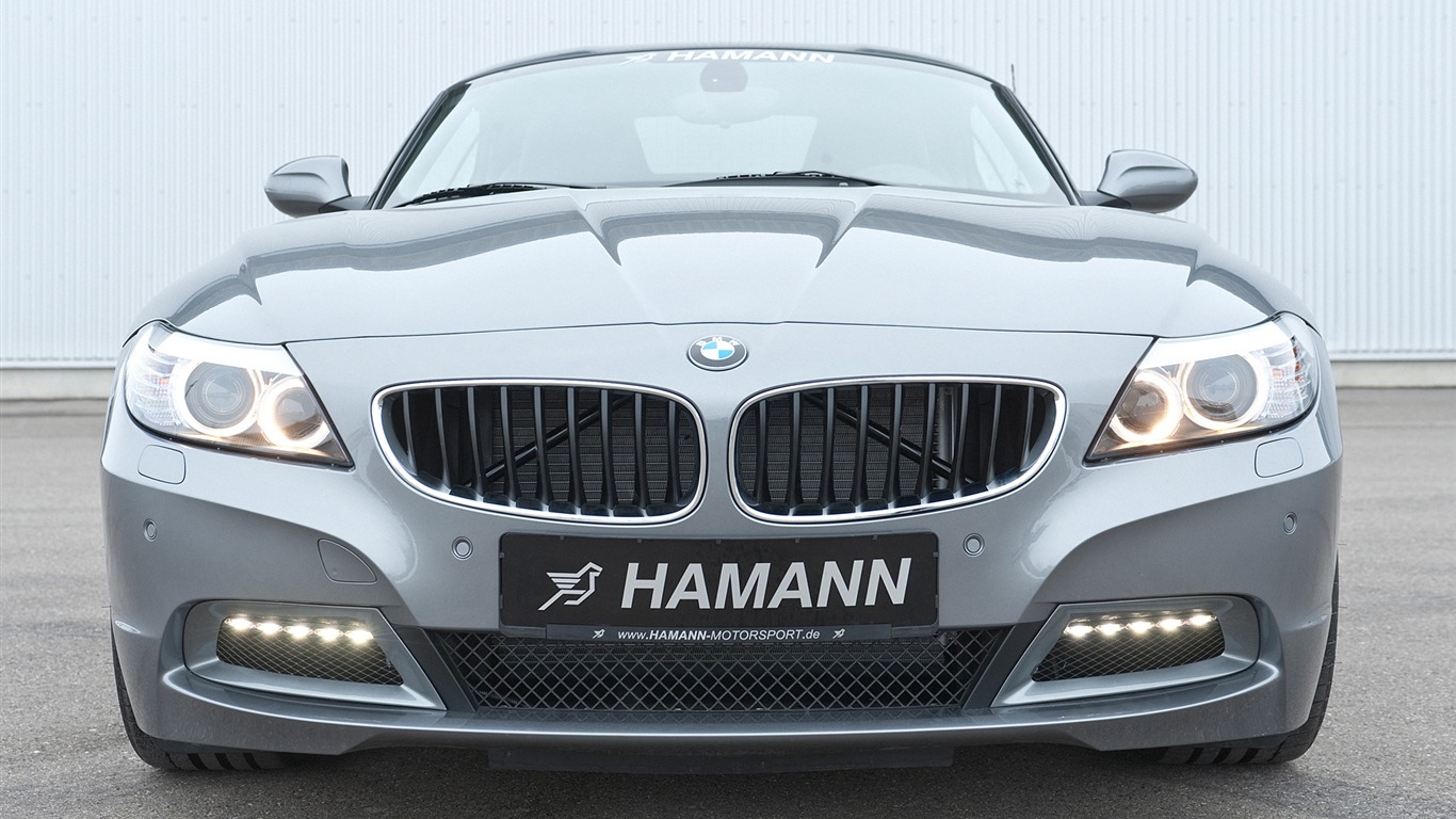 Hamann BMW Z4 E89 - 2010 宝马15 - 1366x768