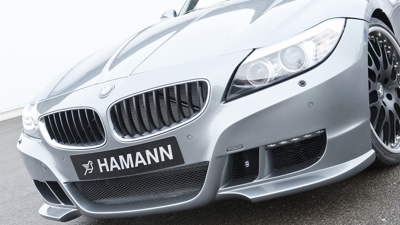 Hamann BMW Z4 E89 - 2010 HD Wallpaper #17 - 1366x768