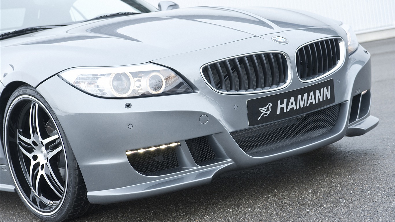 Hamann BMW Z4 E89 - 2010 fondos de escritorio de alta definición #18 - 1366x768