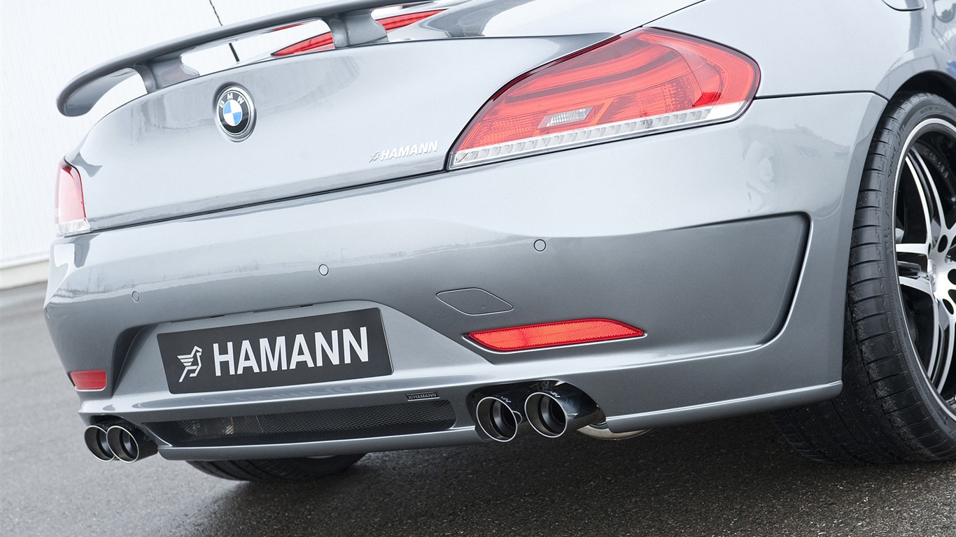Hamann BMW Z4 E89 - 2010 宝马19 - 1366x768