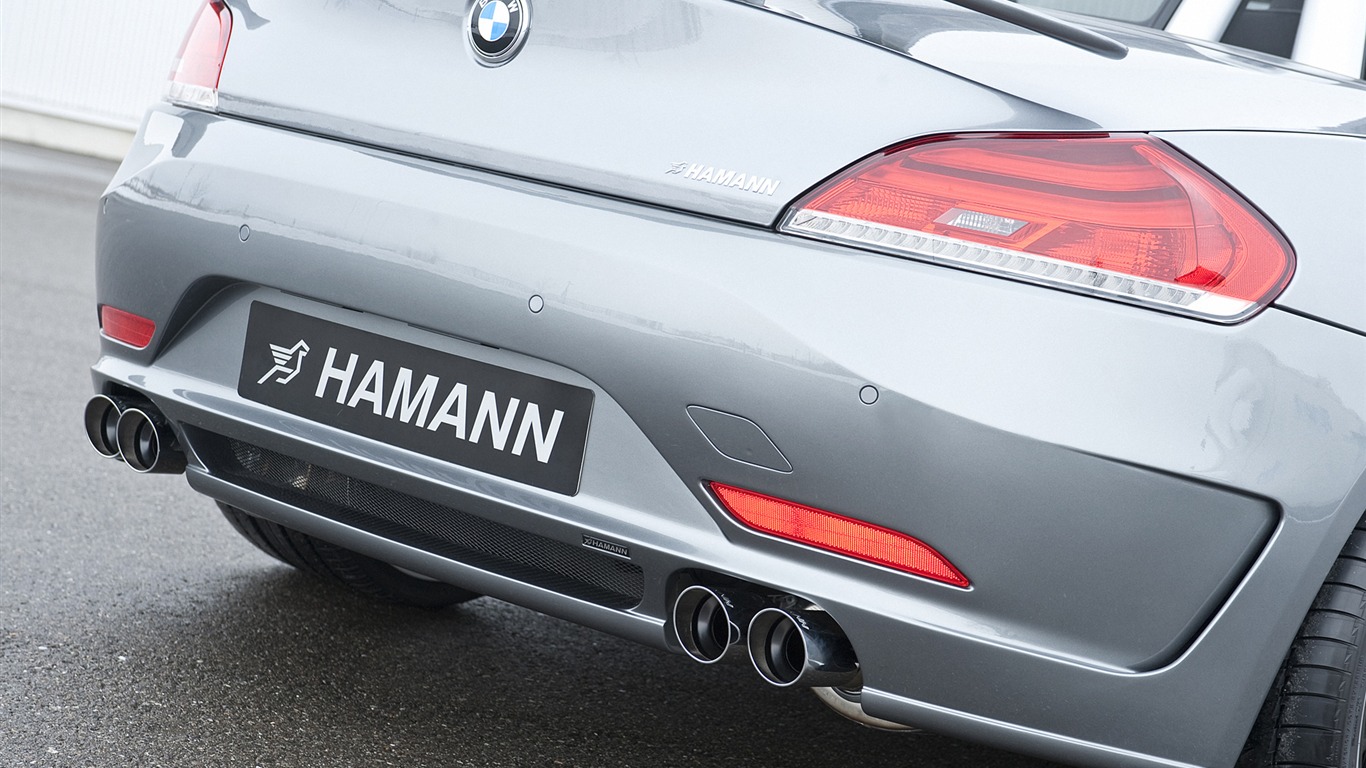 Hamann BMW Z4 E89 - 2010 宝马20 - 1366x768