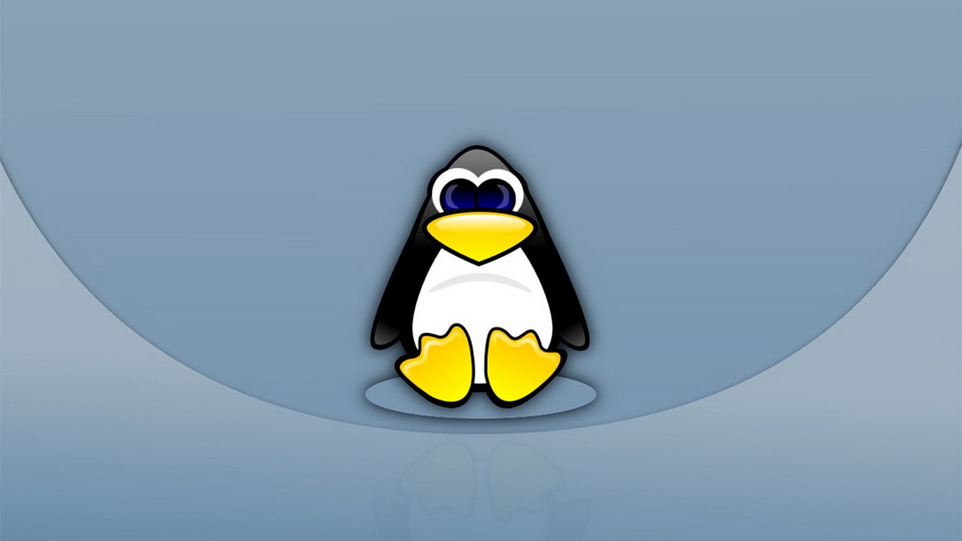 리눅스 벽지 (3) #4 - 1366x768