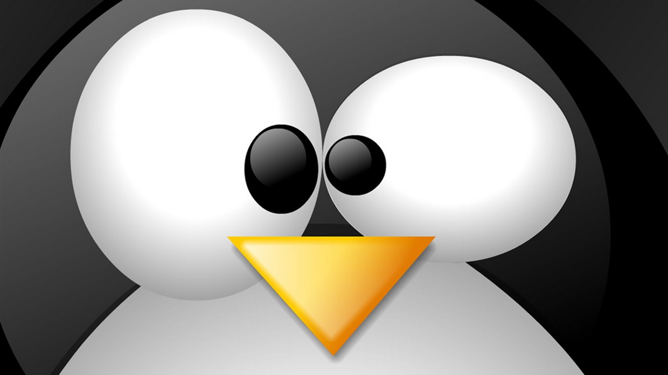 Fond d'écran Linux (3) #16 - 1366x768