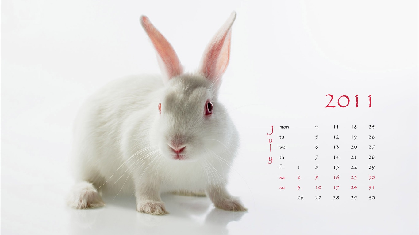 Year of the Rabbit 2011 calendar wallpaper (1) #7 - 1366x768