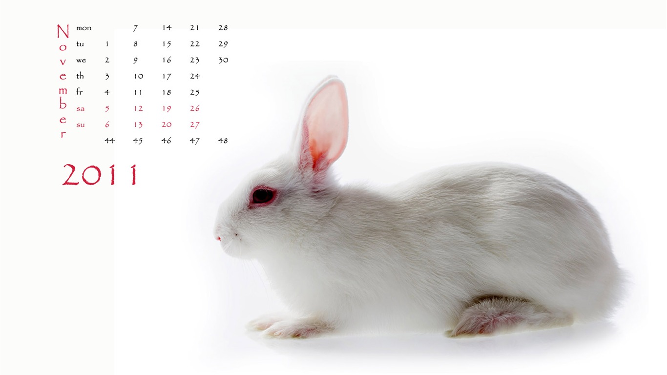 Year of the Rabbit 2011 calendar wallpaper (1) #11 - 1366x768