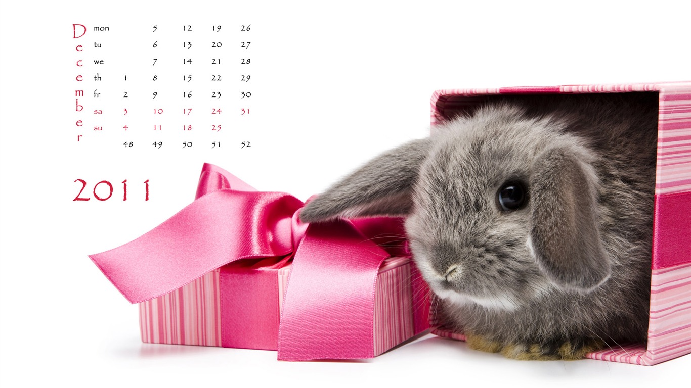 Année du papier peint Rabbit calendrier 2011 (1) #12 - 1366x768