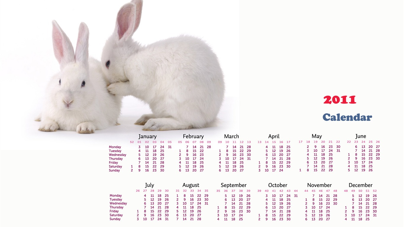 Year of the Rabbit 2011 calendar wallpaper (1) #17 - 1366x768