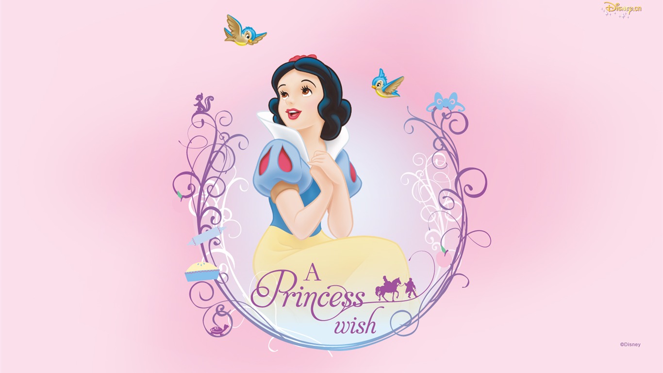 Princesa Disney de dibujos animados fondos de escritorio (2) #17 - 1366x768