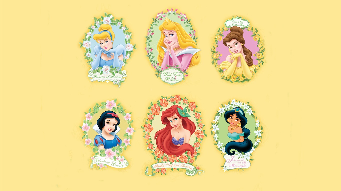 Princesa Disney de dibujos animados fondos de escritorio (4) #17 - 1366x768