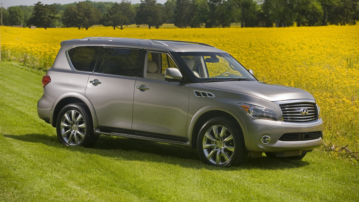 Infiniti QX56 - 2011 英菲尼迪 #13 - 1366x768