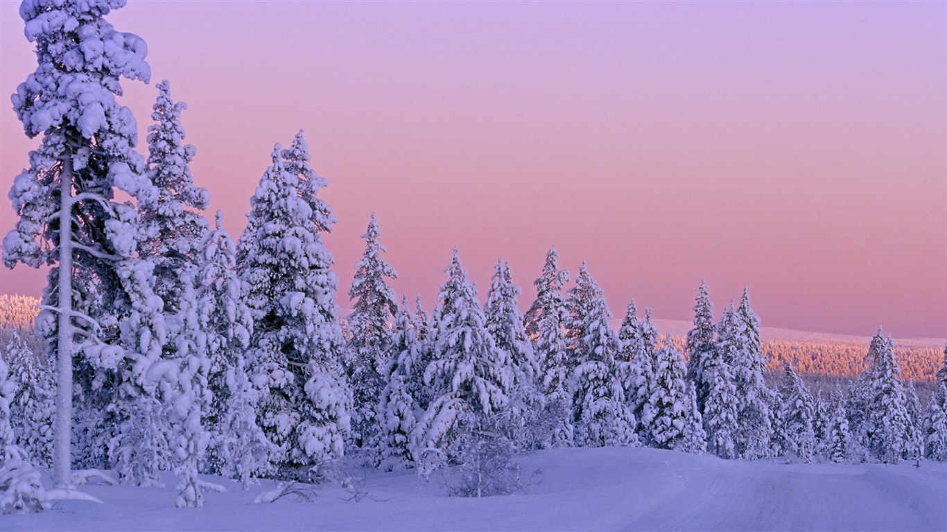 Snow Widescreen-Wallpaper (4) #2 - 1366x768