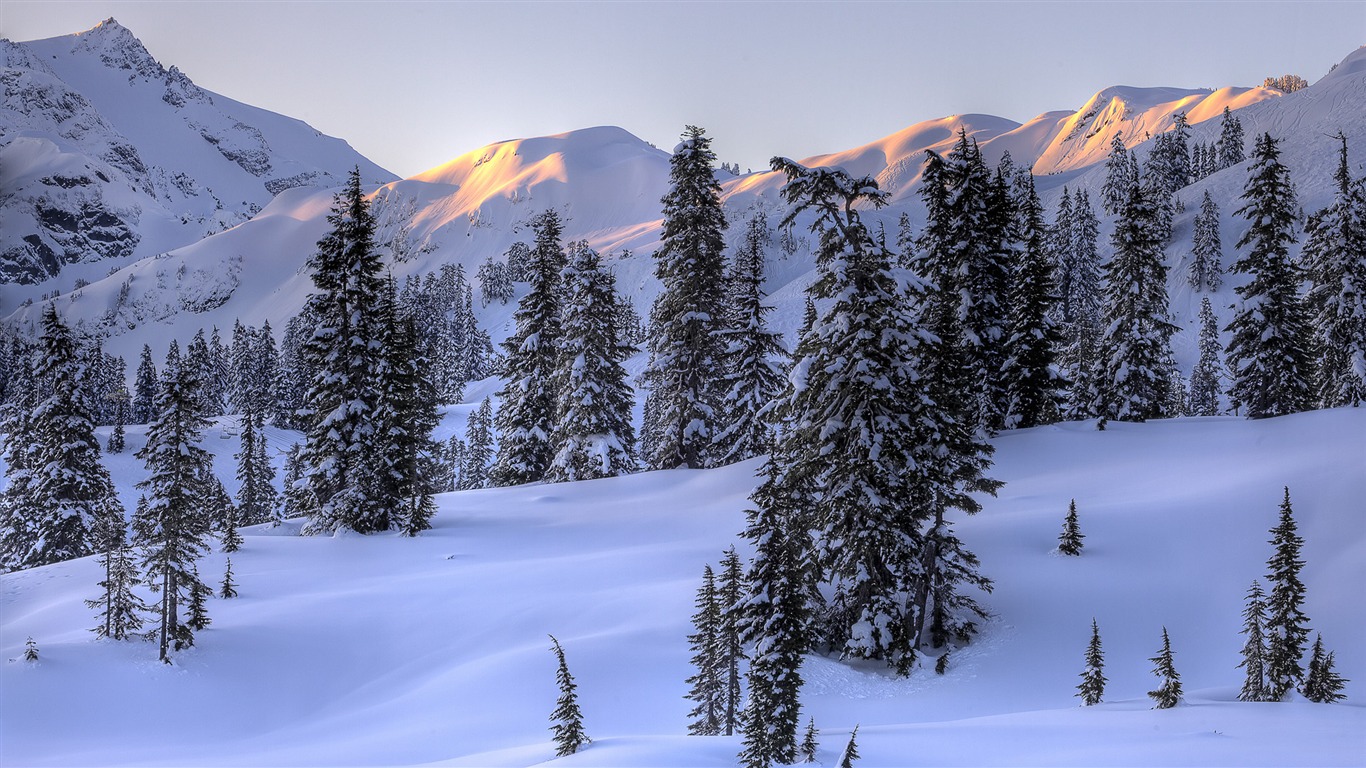Fond d'écran panoramique de neige (4) #14 - 1366x768