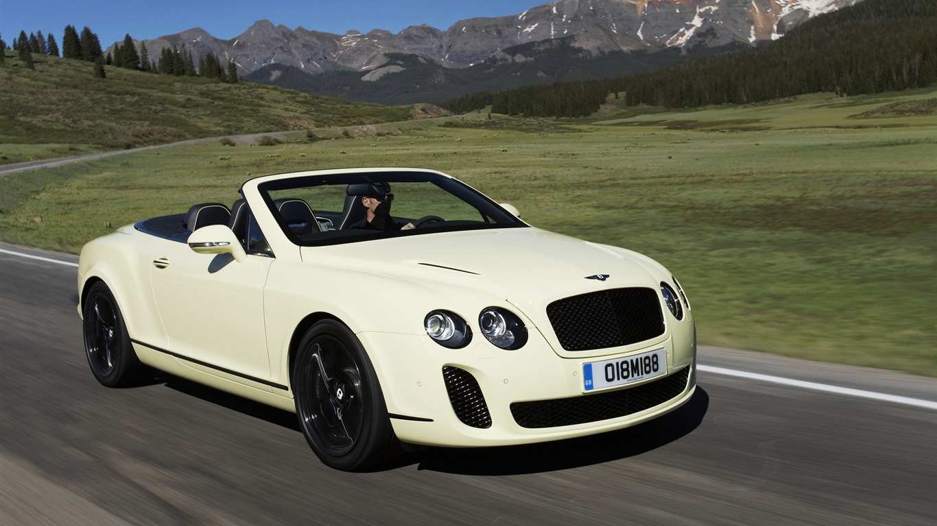 Bentley Continental Supersports Convertible - 2010 賓利 #12 - 1366x768