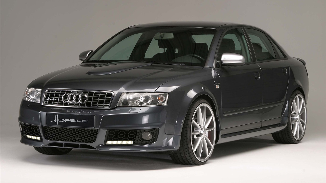 Hofele Audi A4 B6 B7 奥迪13 - 1366x768