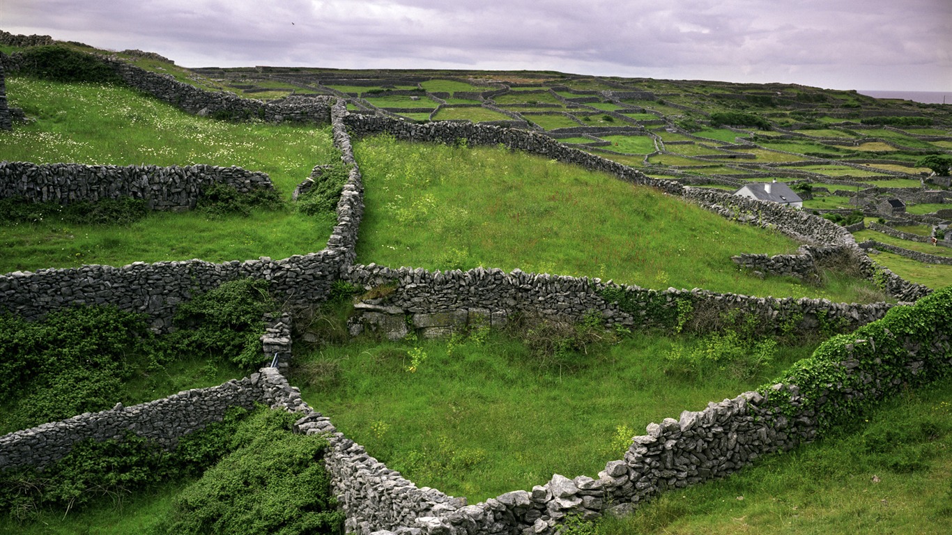 Красивые пейзажи Ирландии обои #2 - 1366x768