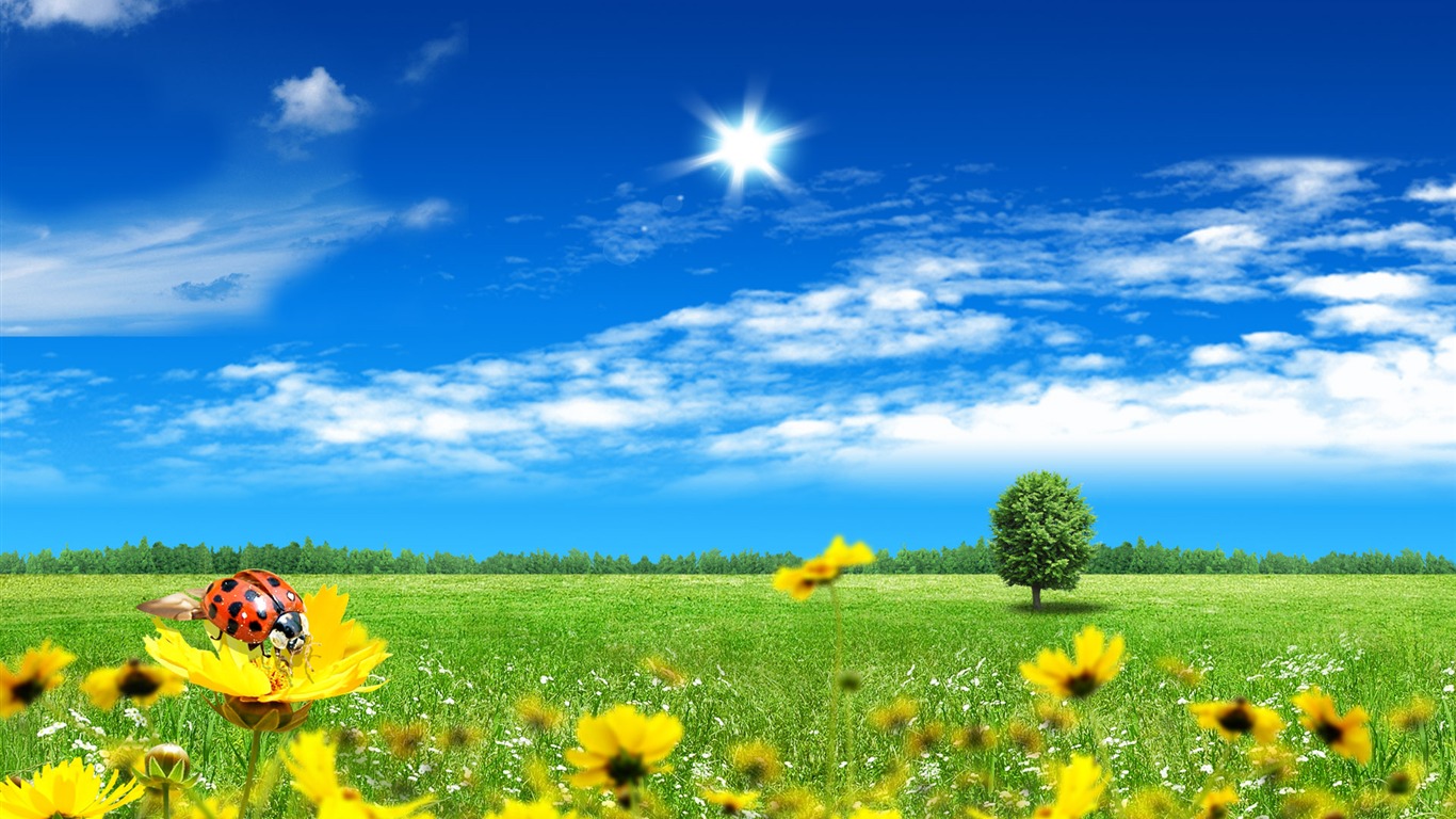 Photoshop fondos de escritorio de paisaje soleado de verano (2) #8 - 1366x768