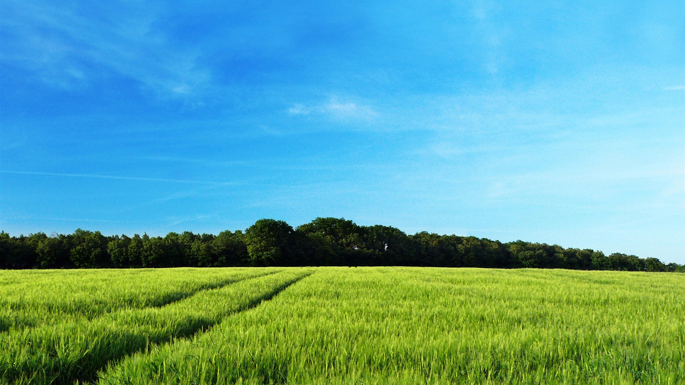 Fond d'écran Nature-Zélande (2) #14 - 1366x768