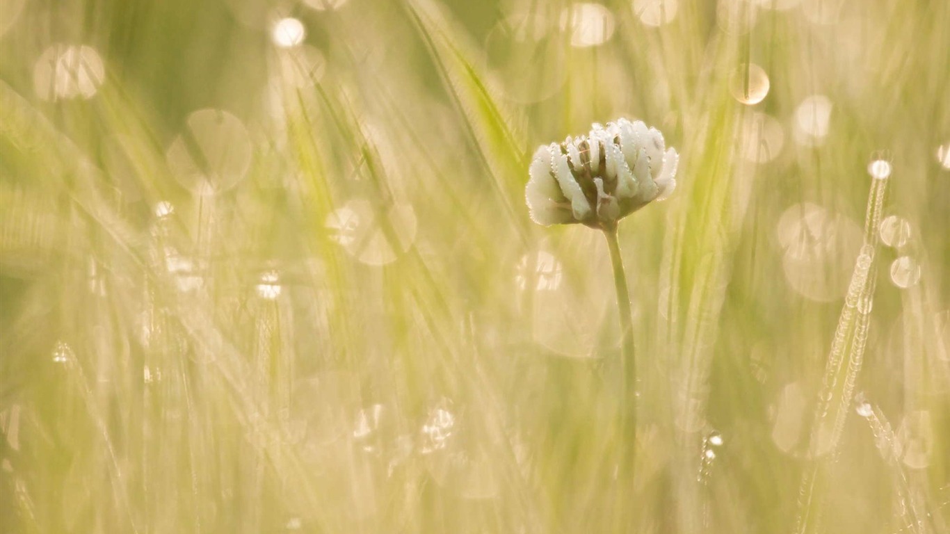 Ubuntu System wallpapers (2) #4 - 1366x768