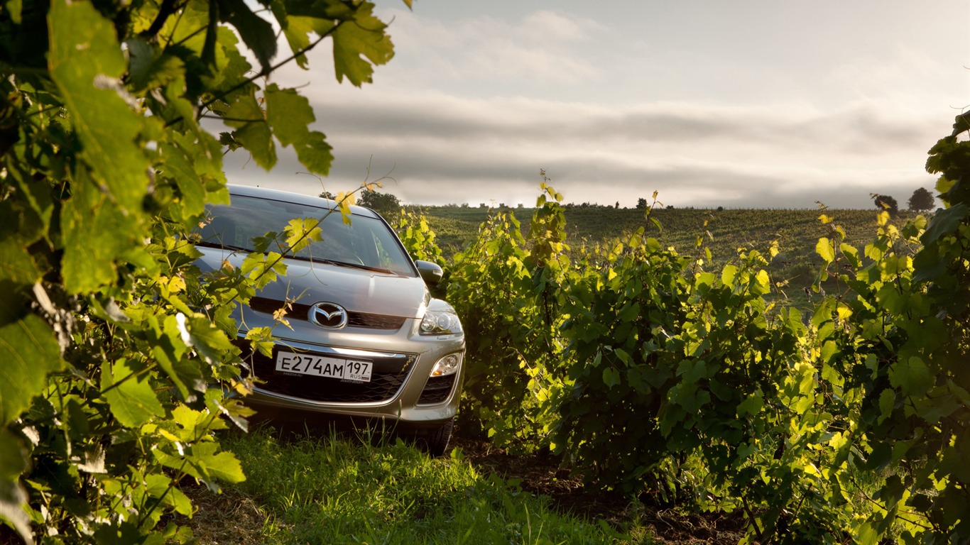 Mazda CX-7 - 2010 HD tapetu #48 - 1366x768