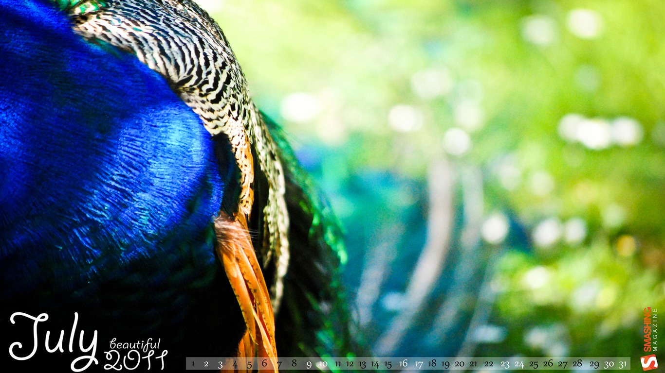 July 2011 Calendar Wallpaper (1) #1 - 1366x768