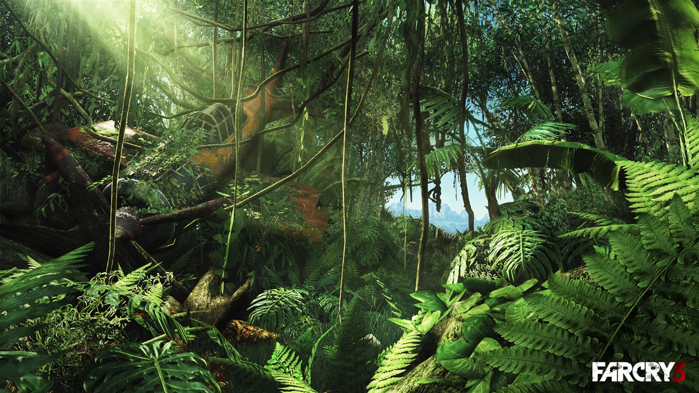 Far Cry 3 HD wallpapers #3 - 1366x768