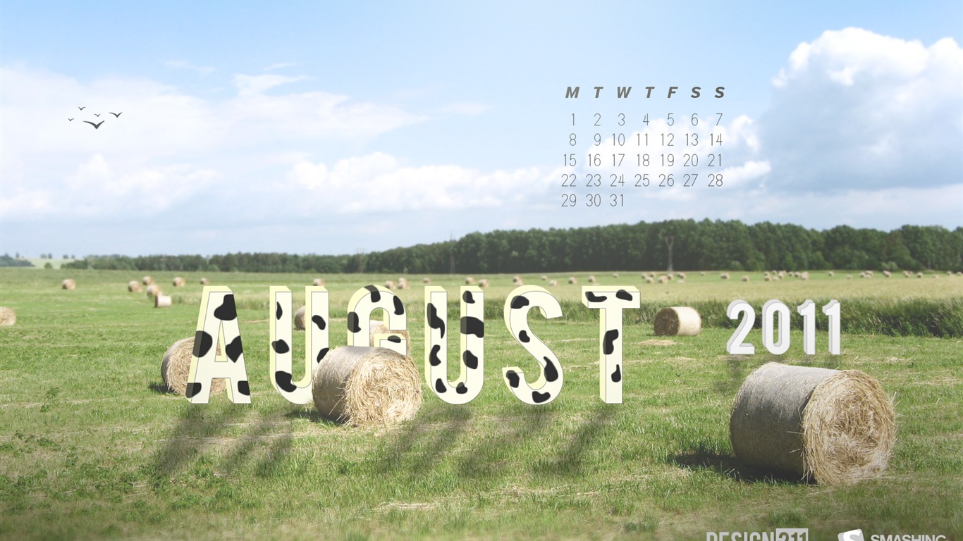 2011년 8월 달력 배경 화면 (1) #11 - 1366x768