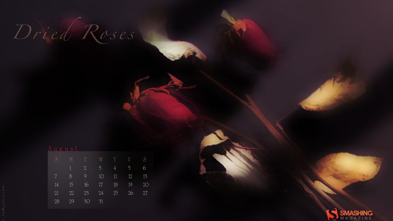 August 2011 calendar wallpaper (1) #14 - 1366x768