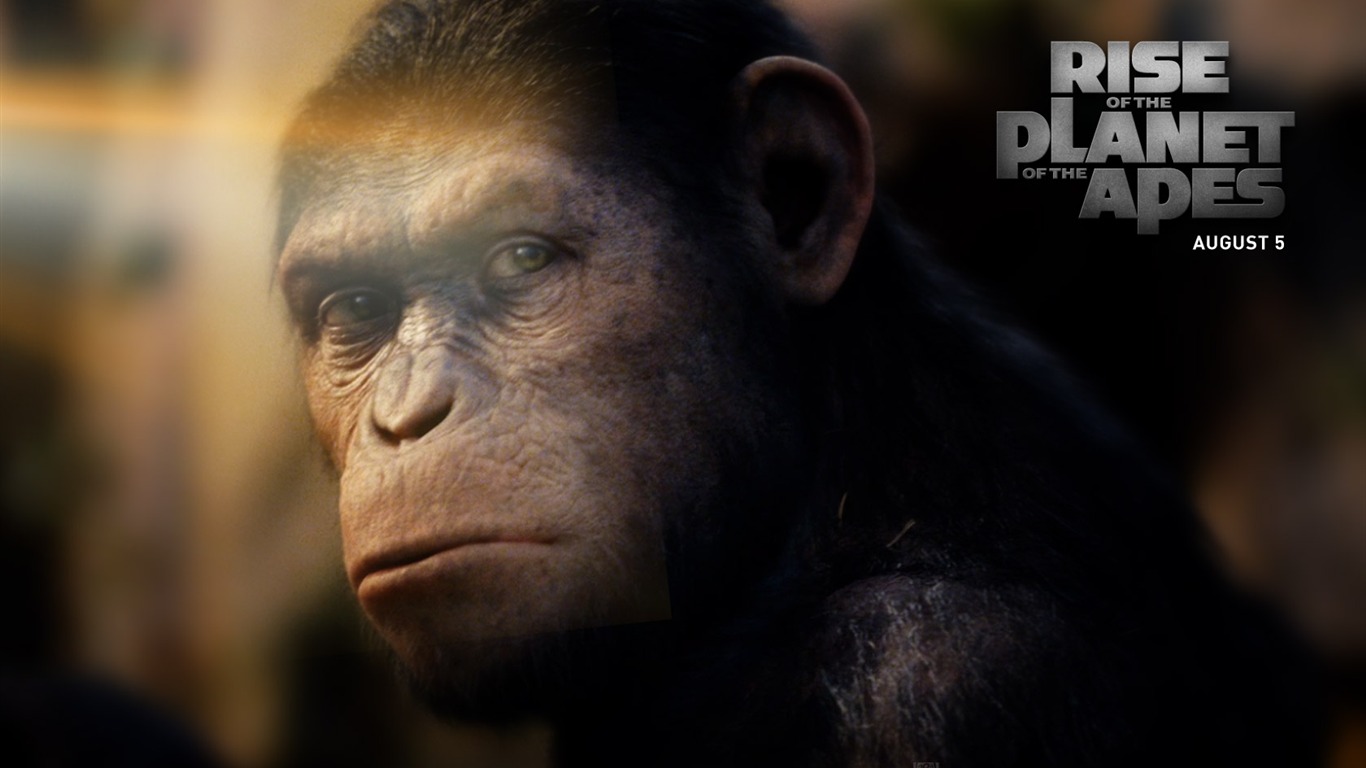 Rise of the Planet of Apes les fonds d'écran #2 - 1366x768
