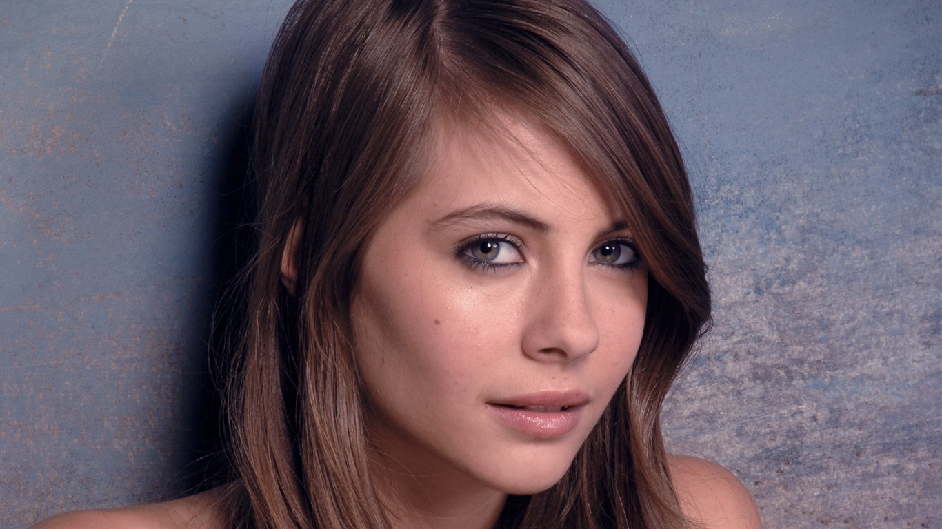 Willa Holland krásnou tapetu #7 - 1366x768