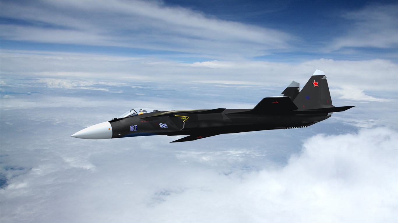 Military fighter HD widescreen wallpapers #10 - 1366x768