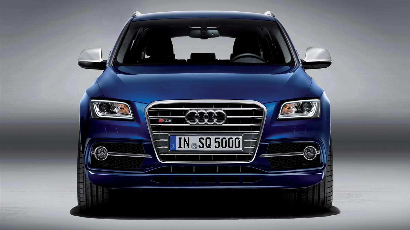 2013 Audi TDI SQ5 fondos de pantalla de alta definición #3 - 1366x768