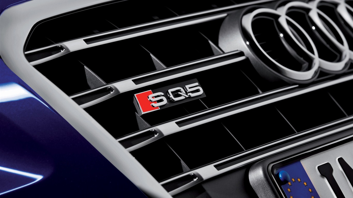 2013 Audi TDI SQ5 fondos de pantalla de alta definición #11 - 1366x768
