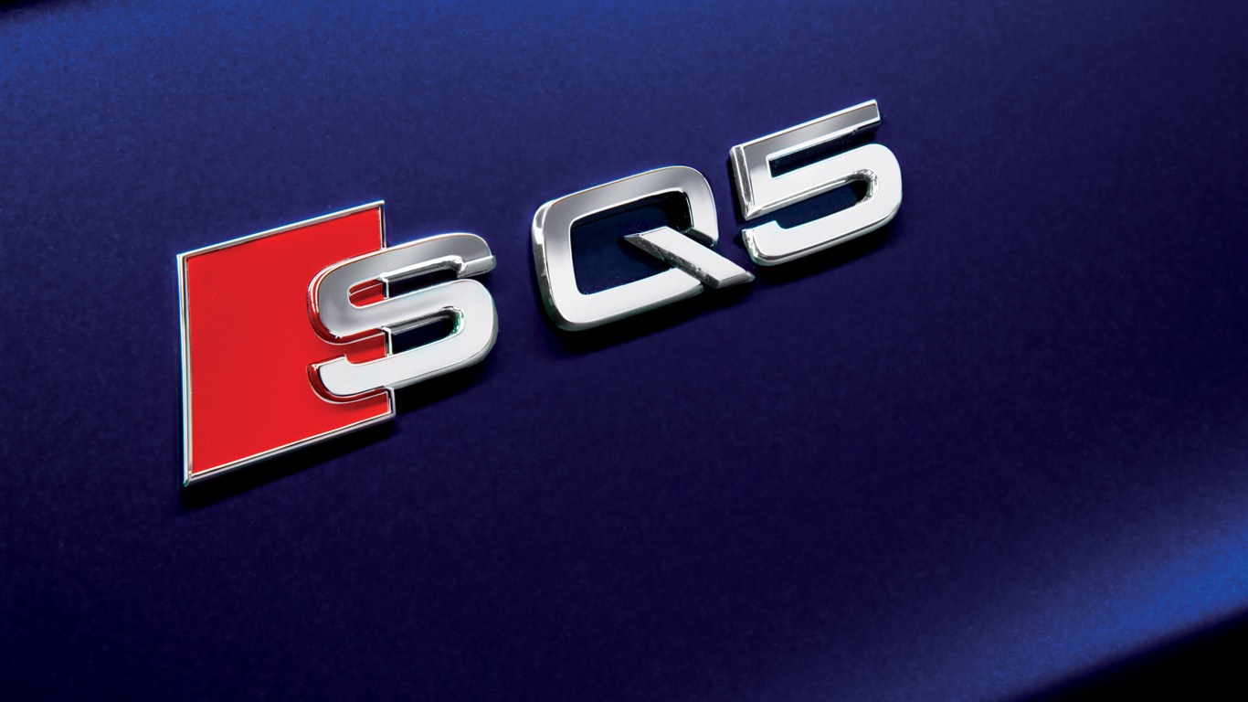 2013 Audi TDI SQ5 fondos de pantalla de alta definición #13 - 1366x768