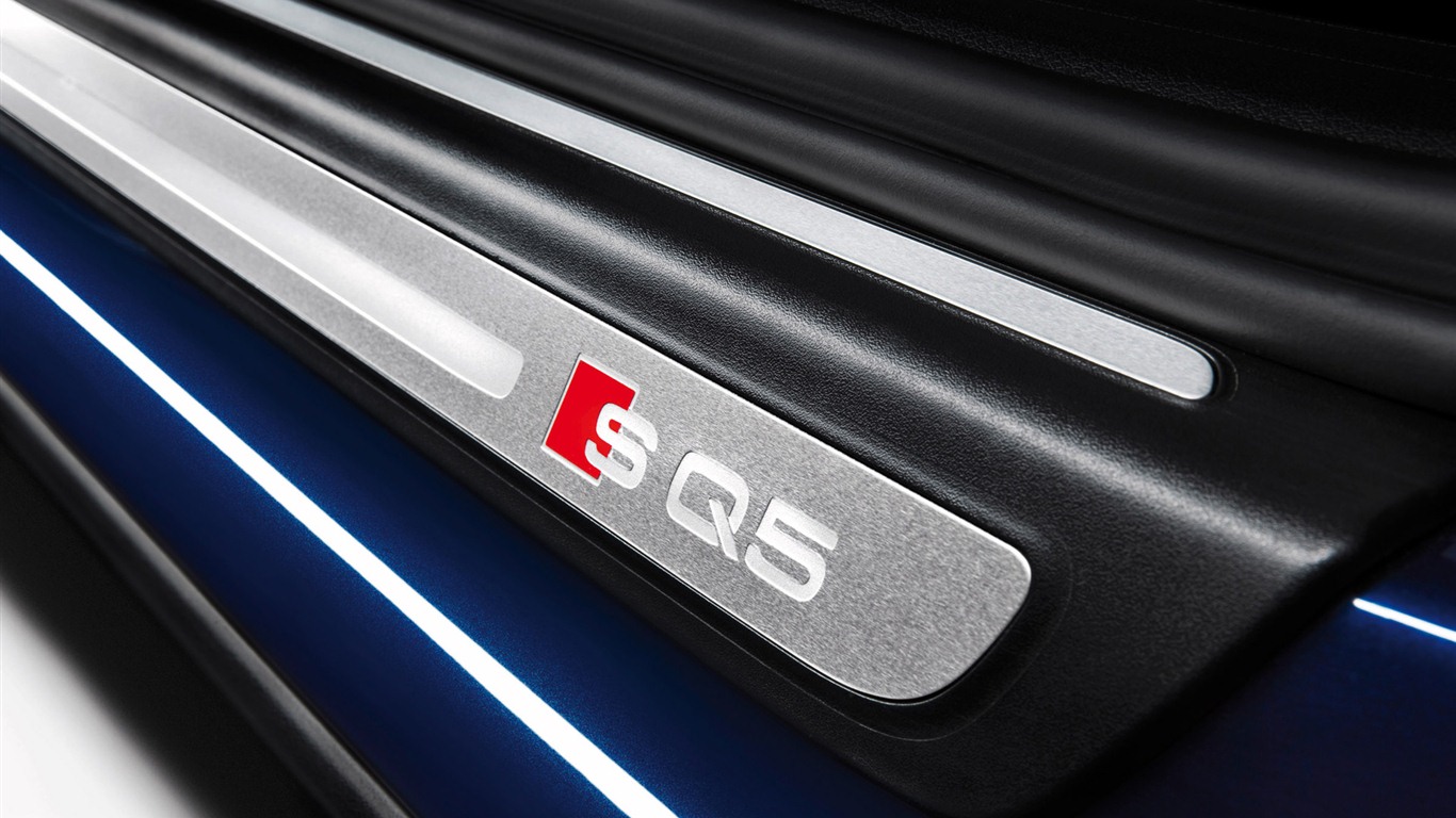 2013 Audi TDI SQ5 fondos de pantalla de alta definición #15 - 1366x768