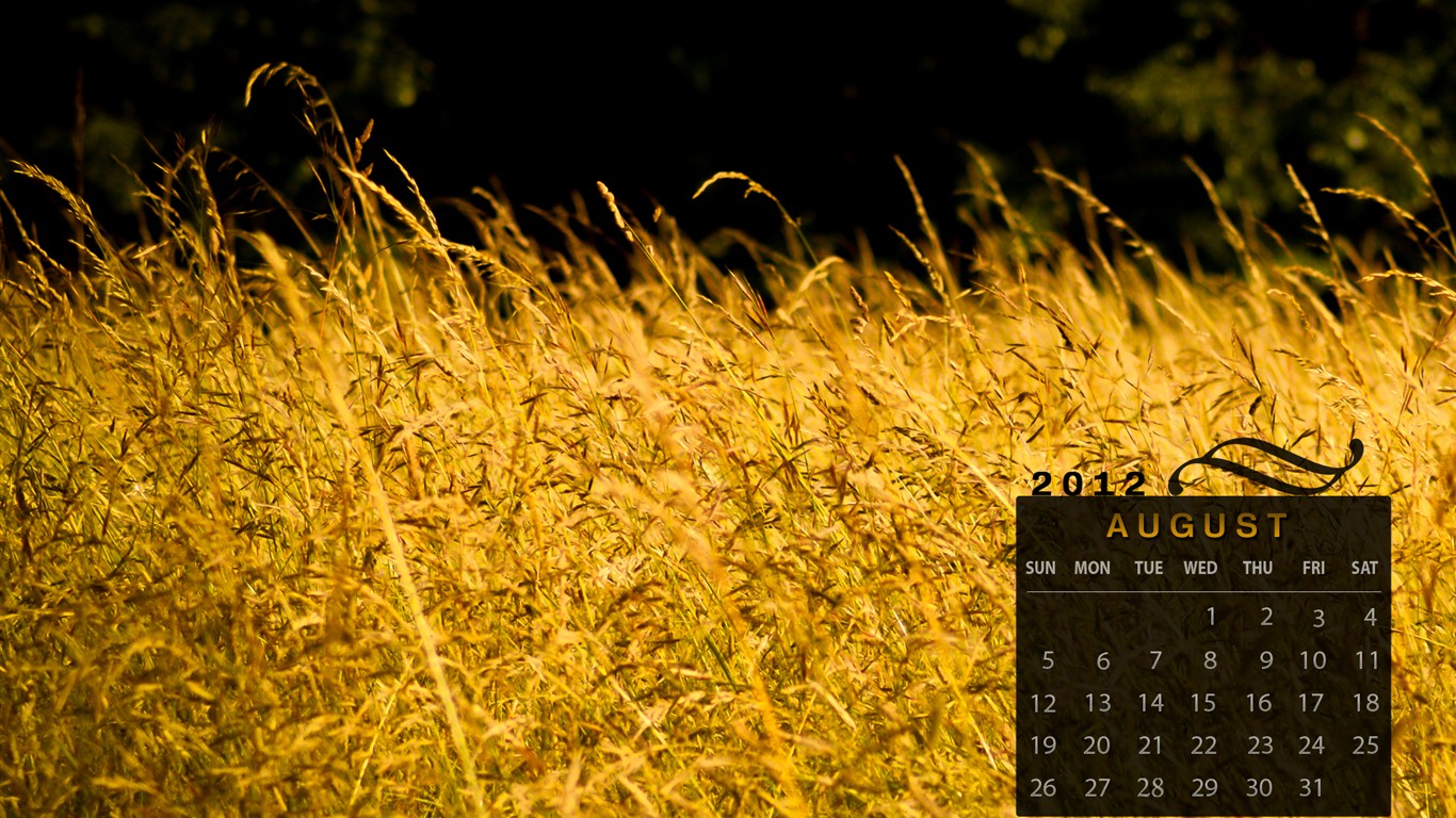 Srpna 2012 Kalendář Tapety na plochu (1) #2 - 1366x768