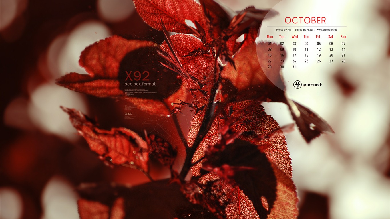 10 2012 Calendar fondo de pantalla (2) #20 - 1366x768
