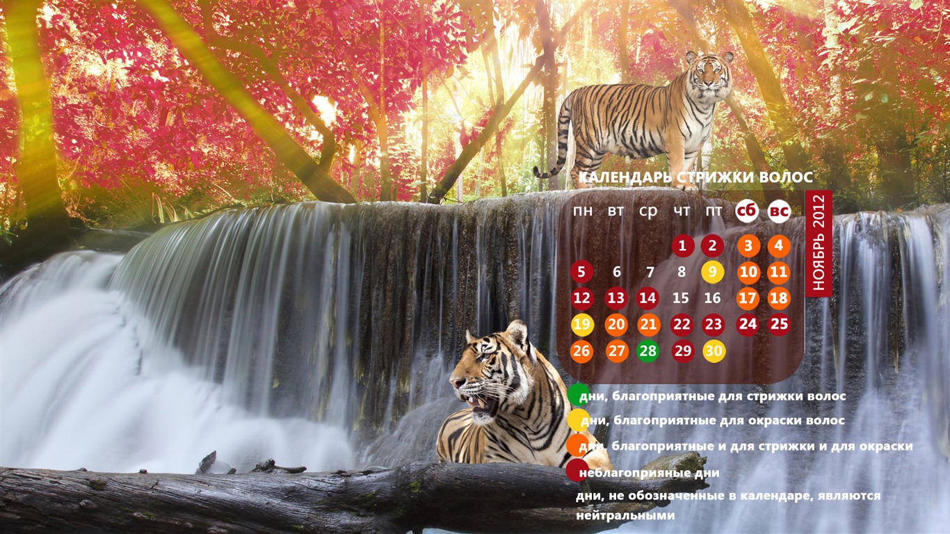 Novembre 2012 Calendar Wallpaper (2) #18 - 1366x768