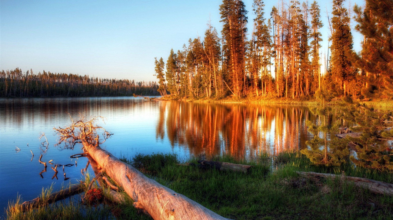 호수, 바다, 나무, 숲, 산, 아름다운 풍경을 배경 화면 #1 - 1366x768
